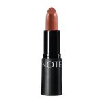 رژلب جامد آبرسان نوت مدل Matte Moist شماره 301