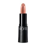 رژلب جامد آبرسان نوت مدل Matte Moist شماره 309