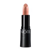 رژلب جامد آبرسان نوت مدل Matte Moist شماره 309