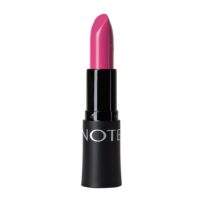 رژلب جامد نوت مدل Rich Color شماره 15