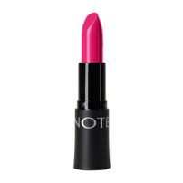 رژلب جامد نوت مدل Rich Color شماره 16
