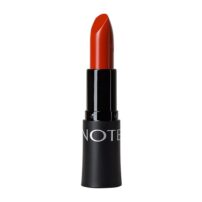 رژلب جامد نوت مدل Rich Color شماره 18