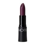 رژلب جامد نوت مدل Rich Color شماره 24