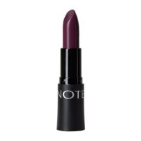 رژلب جامد نوت مدل Rich Color شماره 24